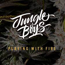 Jungle Boys - Cannabis Seed Breeder | Cannabis Genetics