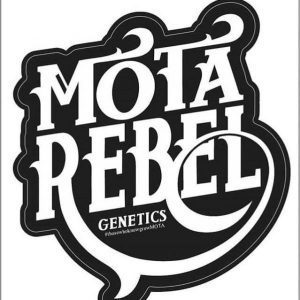 Mota Rebel Genetics - Cannabis Seed Breeder | Cannabis Genetics