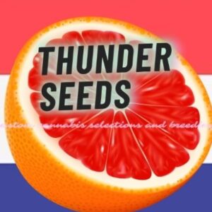 Thunder Seeds
